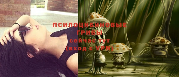 трава Нязепетровск