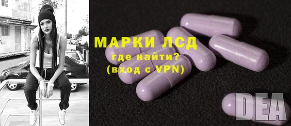 гашик Аркадак